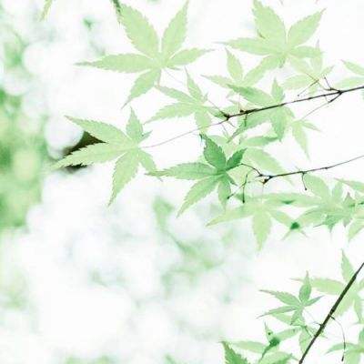 米小镇乐园世界免费下载
