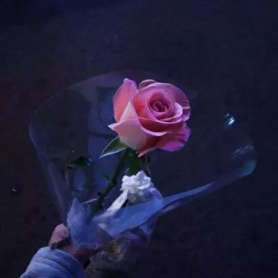 4399宝贝星球破解版在线玩下载